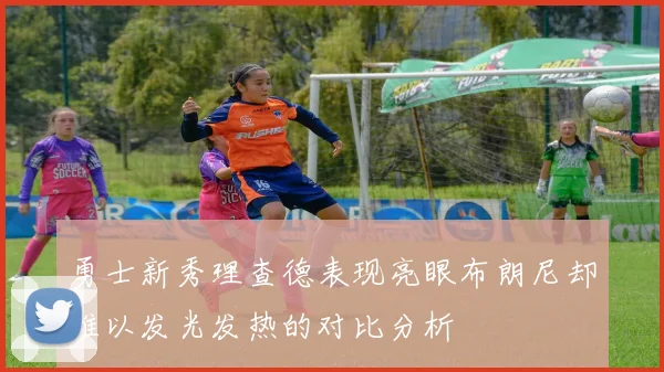 勇士新秀理查德表现亮眼布朗尼却难以发光发热的对比分析