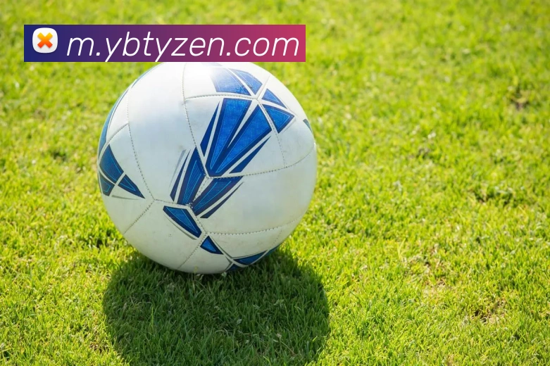 易博体育APP 封面图